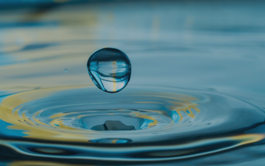 💧 Groundwater Awareness Week 💧