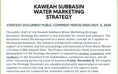 Kaweah Subbasin Water Market Strategy – Public Comment Period